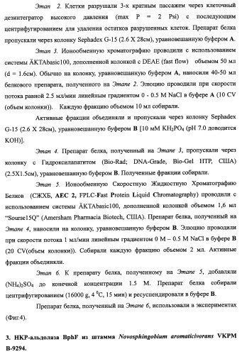 Способ производства 4-гидрокси-l-изолейцина или его соли (патент 2355767)
