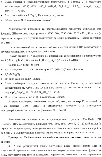 Способ одновременного обнаружения микобактерий туберкулезного комплекса и идентификации мутаций в днк микобактерий, приводящих к устойчивости микроорганизмов к рифампицину и изониазиду, на биологических микрочипах, набор праймеров, биочип и набор олигонуклеотидных зондов, используемые в способе (патент 2376387)