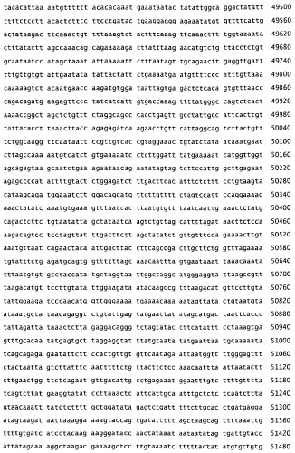 Применение s1p (патент 2362565)