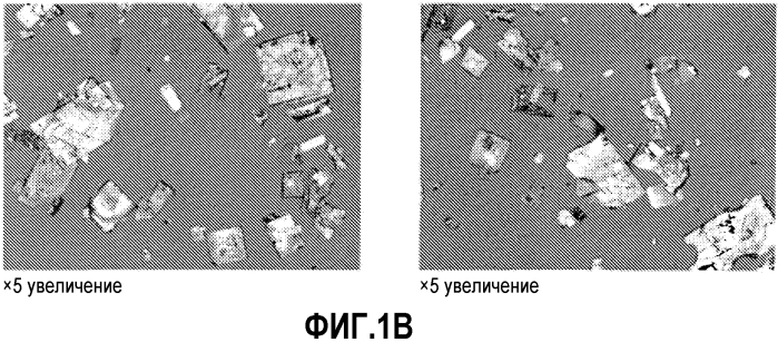 Лекарственные формы, соли и полиморфы транснорсертралина и их применение (патент 2578956)