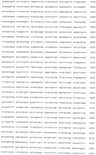 Фитаза, ее применение, корм и кормовая добавка для животных, содержащие ее (патент 2567000)
