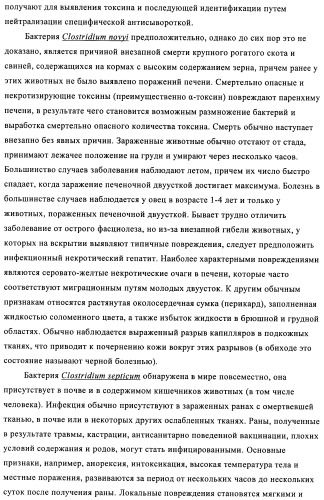 Поливалентные иммуногенные композиции pcv2 и способы получения таких композиций (патент 2488407)