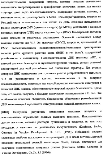 Иммуногенная композиция и способ разработки вакцины, основанной на участках матричного белка вич (патент 2403915)