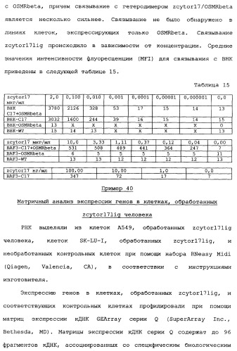 Новый лиганд рецептора цитокина zcytor17 (патент 2360923)