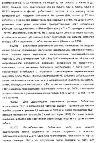 Антитела к il-22 человека и их применение (патент 2467016)