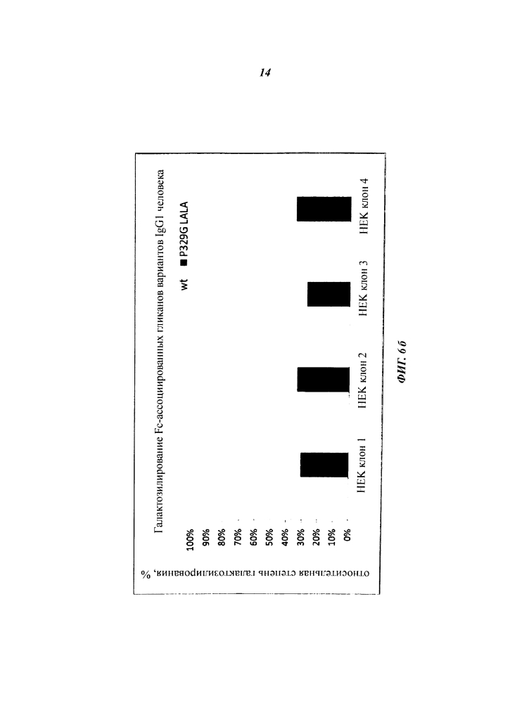 Fc варианты антитела (патент 2607014)