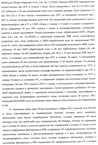 Способ получения фактора, связанного с контролем над потреблением пищи и/или массой тела, полипептид, обладающий активностью подавления потребления пищи и/или прибавления в весе, молекула нуклеиновой кислоты, кодирующая полипептид, способы и применение полипептида (патент 2418002)