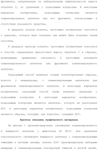 Антитела против вируса гепатита с (патент 2462475)
