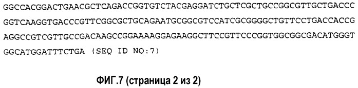 Композиции на основе белка вируса гепатита в и стрессового белка и их применение (патент 2295536)