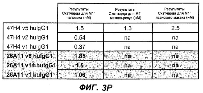 Апоптотические антитела против ige (патент 2500686)