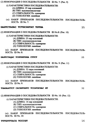 Мутантный штамм вируса гепатита в и его применение (патент 2270863)