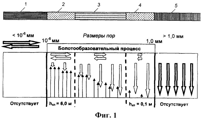 Способ естественного возобновления болото- и торфообразовательного процесса при разработке торфяных месторождений (патент 2360119)