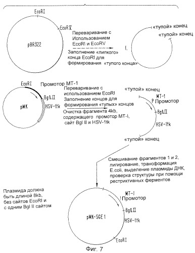 Ингибитор интерлейкина-1, способ его получения, молекула днк, кодирующая ингибитор интерлейкина-1 и его предшественник (патент 2286388)