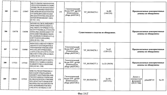 Бактериофаг, обладающий активностью против pseudomonas aeruginosa, белки бактериофага и способы их применения (патент 2580248)