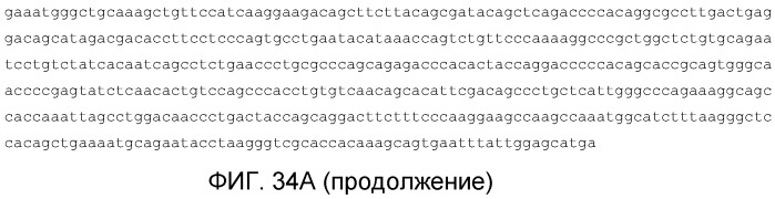 Композиции рекомбинантных антител против рецептора эпидермального фактора роста (патент 2540146)