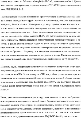 Антитела человека, обладающие активностью связывания c mn и нейтрализации клеточной адгезии (патент 2317998)