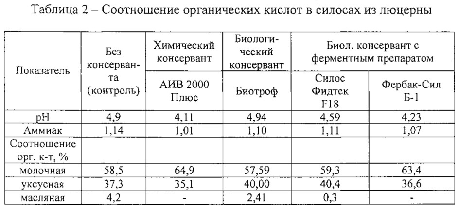 Способ силосования трав биологическим консервантом "фербак-сил б-1" (патент 2638188)