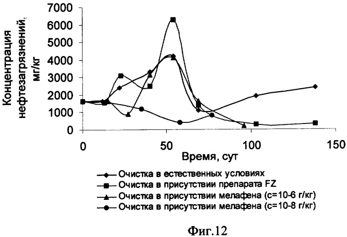 Способ биологической очистки почвы от нефтяных загрязнений (патент 2355488)