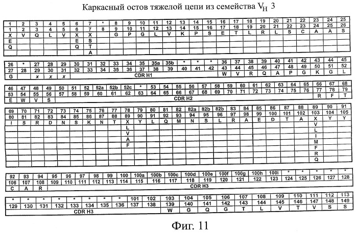 Способы модификации антител и модифицированные антитела с улучшенными функциональными свойствами (патент 2540150)