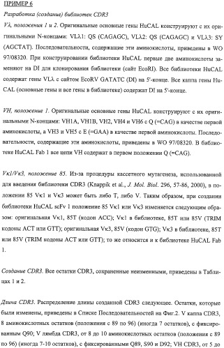 Антитела человека, обладающие активностью связывания c mn и нейтрализации клеточной адгезии (патент 2317998)