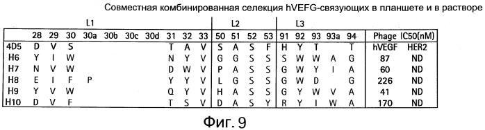 Полиспецифические антитела (патент 2547596)