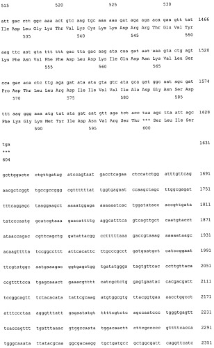 Рекомбинантная плазмида pag85a-cbd, штамм escherichia coli [prep4, pag85a-cbd], химерный белок ag85a-cbd и их применение (патент 2429292)