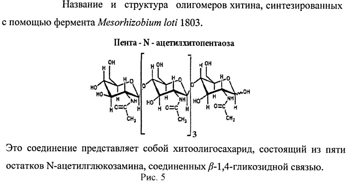 Способ ферментативного получения пента-n-ацетилхитопентаозы (патент 2460800)