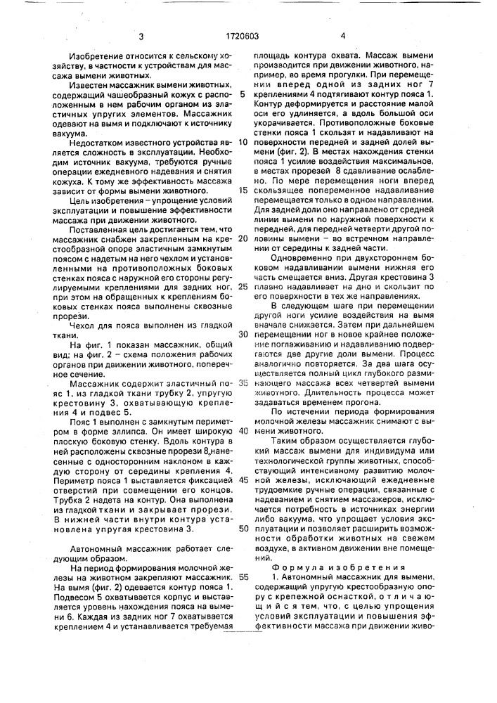 Автономный массажник для вымени (патент 1720603)