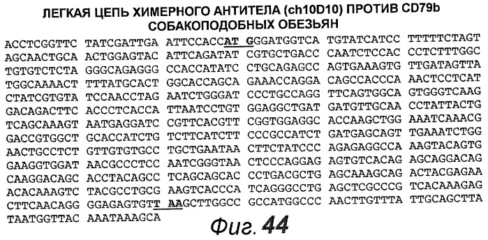 Анти-cd79b антитела и иммуноконъюгаты и способы их применения (патент 2511410)