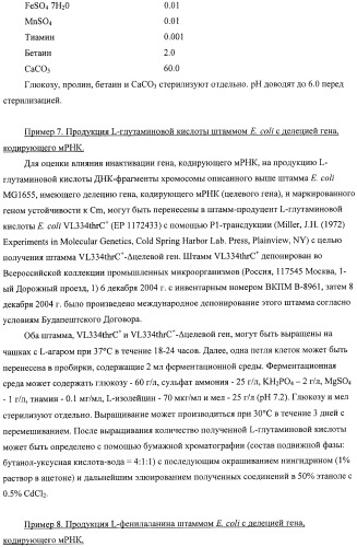 Способ получения l-аминокислот с использованием бактерии, принадлежащей к роду escherichia, в которой инактивирован один или несколько генов, кодирующих малые рнк (патент 2395567)