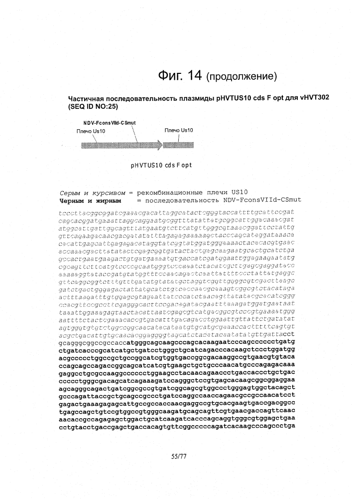 Рекомбинантные векторы hvt, экспрессирующие антигены патогенов птиц и их применение (патент 2620936)