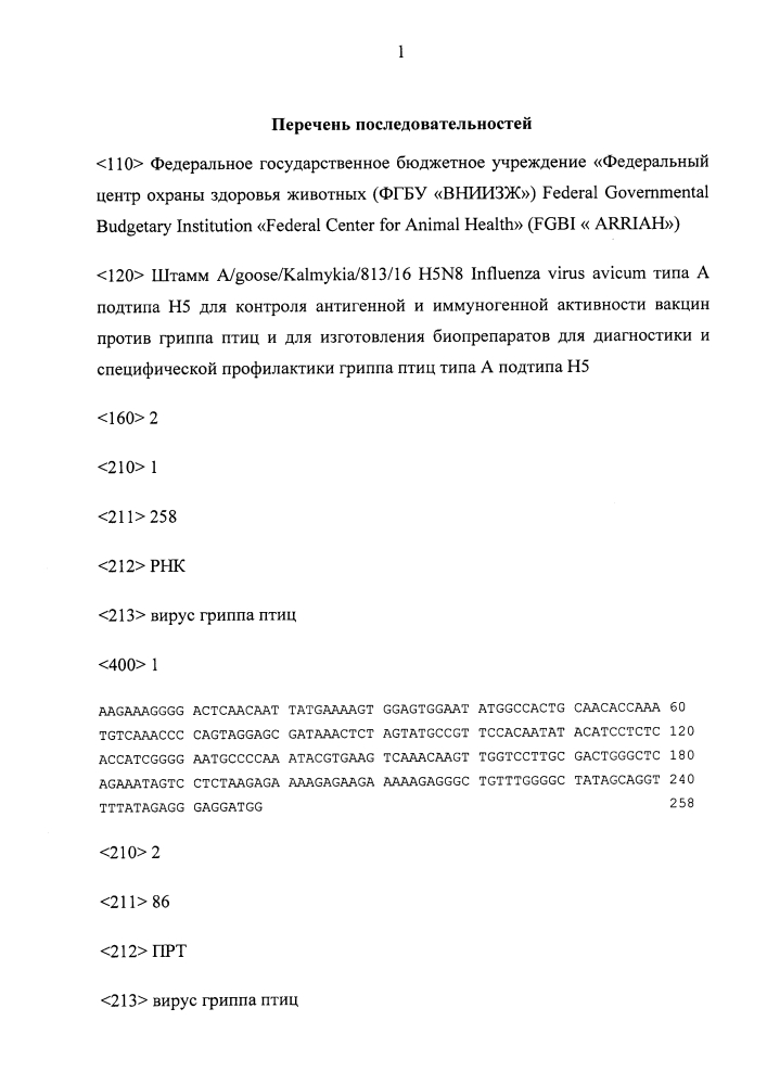 Штамм a/goose/kalmykia/813/16 h5n8 вируса гриппа птиц influenza virus avicum типа а подтипа h5 для контроля антигенной и иммуногенной активности вакцин против гриппа птиц и для изготовления биопрепаратов для диагностики и специфической профилактики гриппа птиц типа а подтипа н5 (патент 2647566)