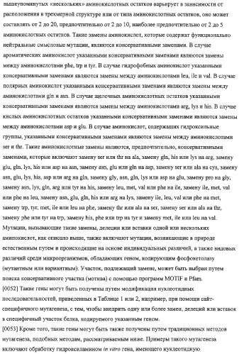 Использование фосфокетолазы для продукции полезных метаболитов (патент 2322496)