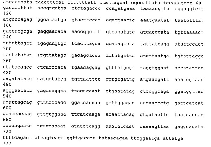 Мутантный термолабильный энтеротоксин e.coli (патент 2441879)