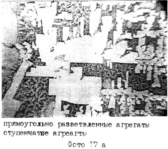 Способ экспресс-диагностики эндогенной интоксикации (патент 2280865)