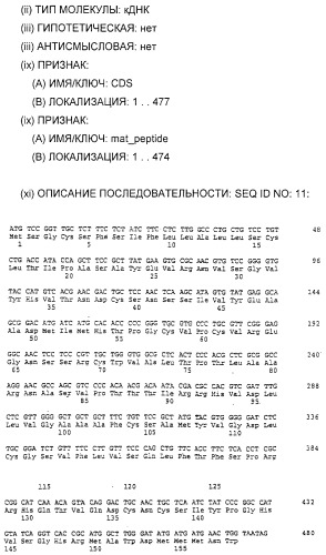 Очищенные белки оболочки вируса гепатита с для диагностического и терапевтического применения (патент 2313363)