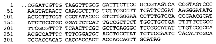 Антигены neisseria meningitidis (патент 2343159)