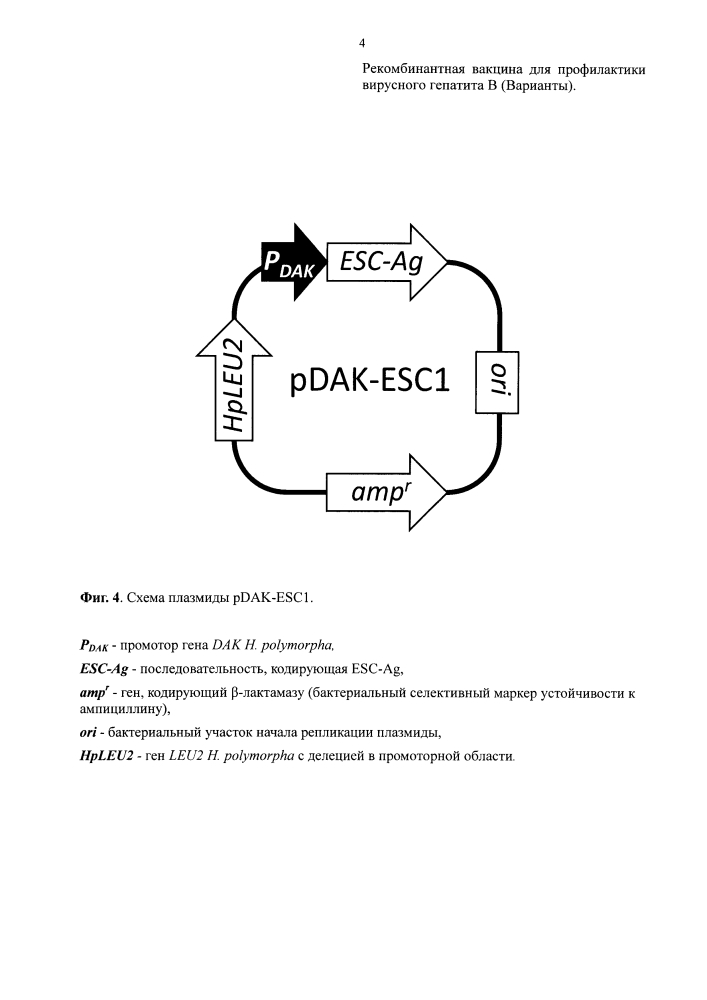 Рекомбинантная вакцина для профилактики вирусного гепатита в (варианты) (патент 2603729)