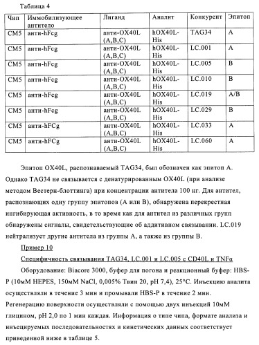 Антитела к ox40l (патент 2423383)