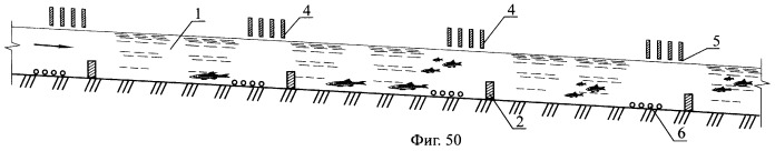 Рыбоход (варианты) (патент 2249653)