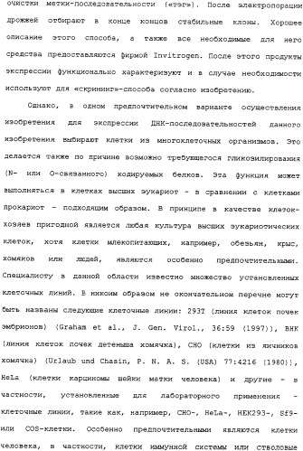 Ее3-семейство белков и соответствующие днк-последовательности (патент 2333918)