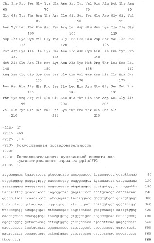 Флуоресцирующие белки из веслоногих ракообразных и способы их применения (патент 2345137)