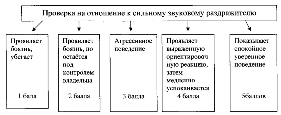 Способ определения рабочих качеств служебных собак (патент 2621382)