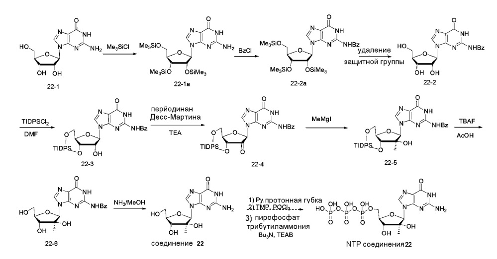 Модифицированные нуклеозиды, нуклеотиды и нуклеиновые кислоты и их применение (патент 2648950)
