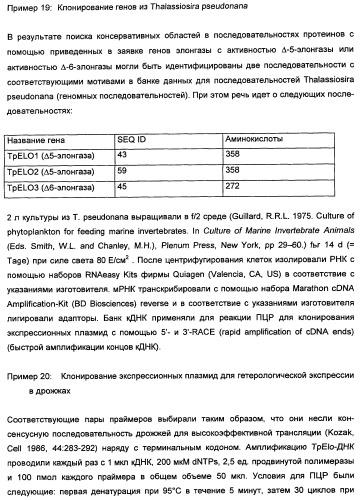 Способ получения полиненасыщенных кислот жирного ряда в трансгенных организмах (патент 2447147)