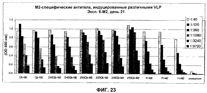 Композиция и способ для иммунизации, способ продуцирования неприродного, упорядоченного и повторяющегося массива антигенов и оболочечный белок (патент 2295973)