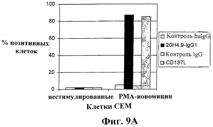 Человеческие антитела против человеческого 4-1вв (cd137) (патент 2376316)