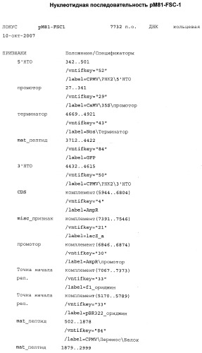 Системы экспрессии белка (патент 2539793)