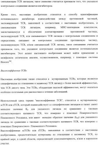 Экспонирование т-клеточных рецепторов (патент 2346004)