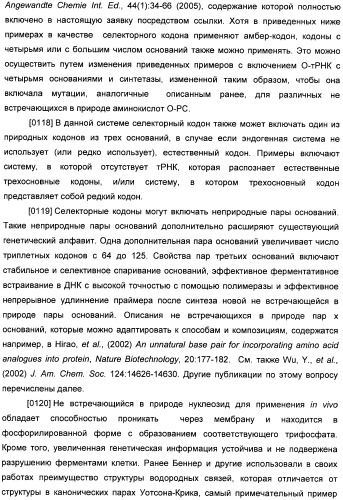 Генетически кодируемые флюоресцентные кумариновые аминокислоты (патент 2473690)